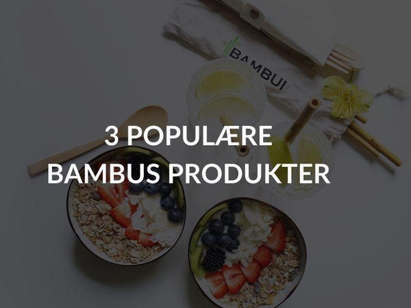 3 Populære Bambus Produkter [For under 200 kr.] - Bambui