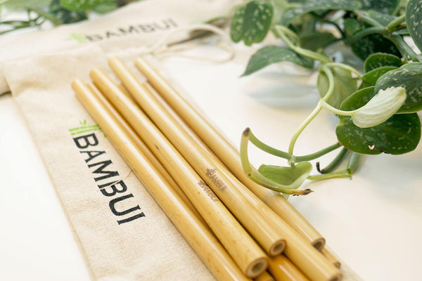 Velkommen til Bambui! - Bambui