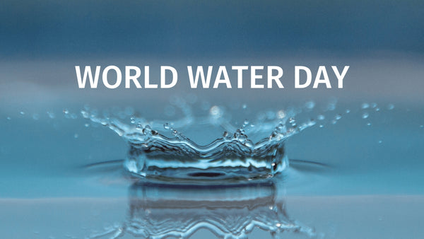 Verdensdag for vand: Vidste du disse 10 ting? - Bambui