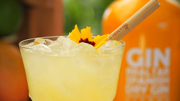 Cocktail og Mocktail opskrifter til sommeren - Bambui